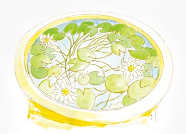 ベランダ＋プランター菜園